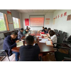 大德公司党支部开展第三次党史学习教育专题