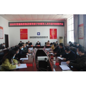 市委组织部对公司领导班子和领导人员开展年度考核