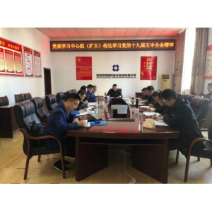 集团党委理论学习中心组（扩大）专题学习党的十九届五中全会精神