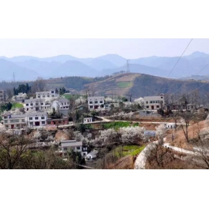 以国企之力 为脱贫攻坚添动力