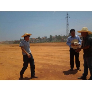 团结就是力量─东常三标工程建设如火如荼