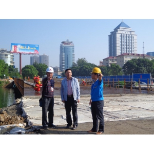 顾晓董事长调研武陵桥项目