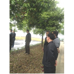 海赛公司石门桥施工工地纪实——用心才能做到更好