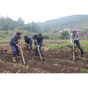 顾晓董事长深入扶贫点开展第三次入户帮扶活动