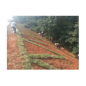 G319G207常德城区段改线工程A标加快附属工程施工