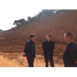 集团公司总经理裴德友一行检查兴德路项目