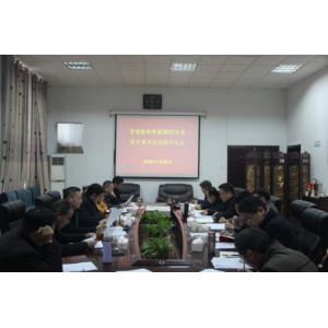 集团公司党委召开党支部书记述职测评会