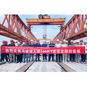 马坡湖大桥T梁架设圆满完成