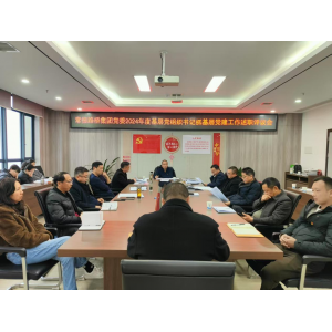 常德路桥集团党委召开2024年度基层党组织书记抓基层党建工作述职评议会