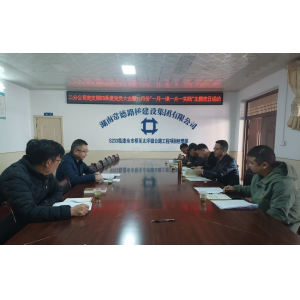 路桥集团二分公司党支部开展主题党日活动学习贯彻党的二十届四中全会精神